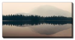 Mountain And Forest Reflections
