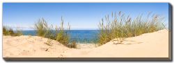 Sand Dunes