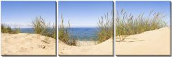 Sand Dunes