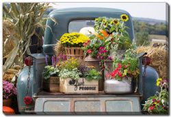 Vintage Truck with Flowers