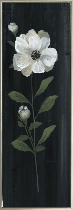 White Country Botanical I