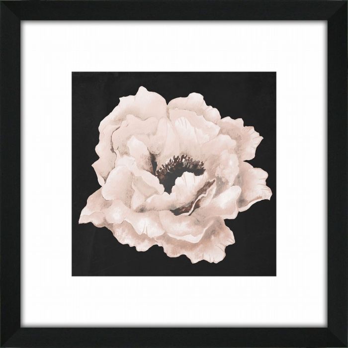Pink Flower On Black I