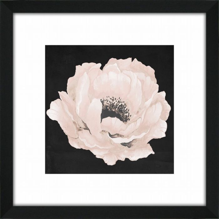 Pink Flower On Black II