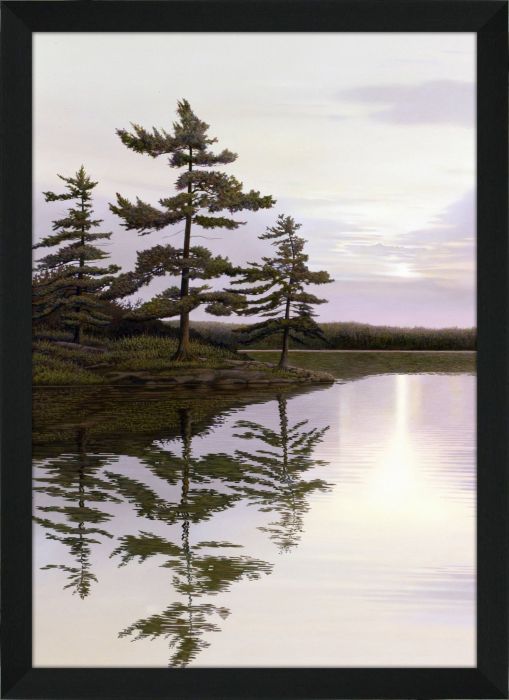 Evening Sunset