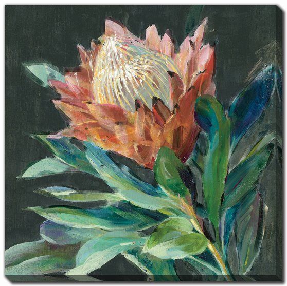 Deep Protea Crop