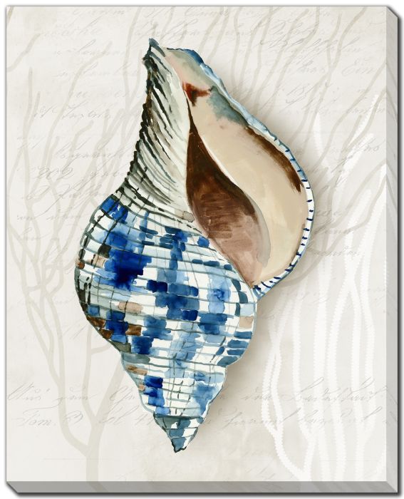 Blue Shell Series II