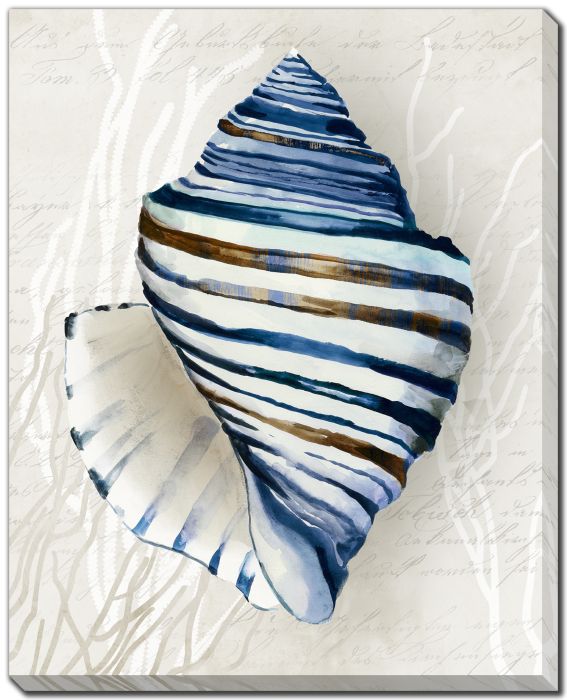 Blue Shell Series III