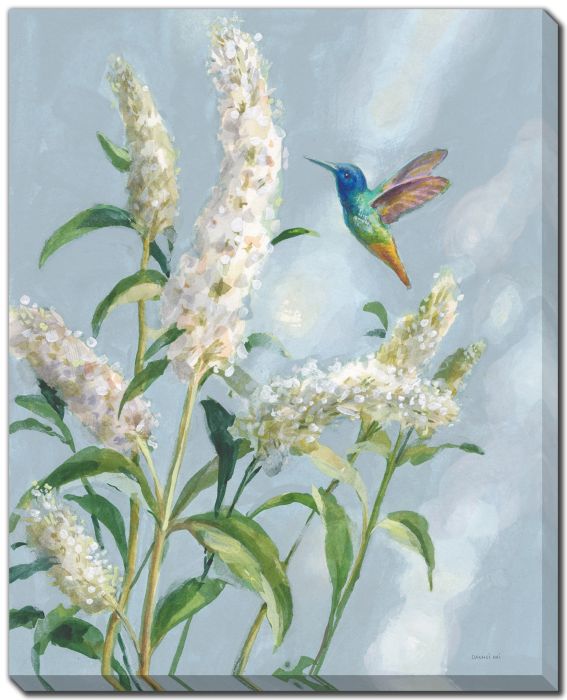 Hummingbird Spring II