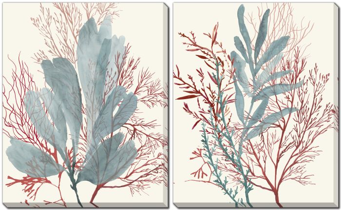 Seaweed Swirls Set of 2