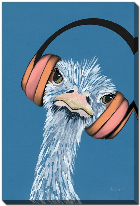 Ostrich Groove