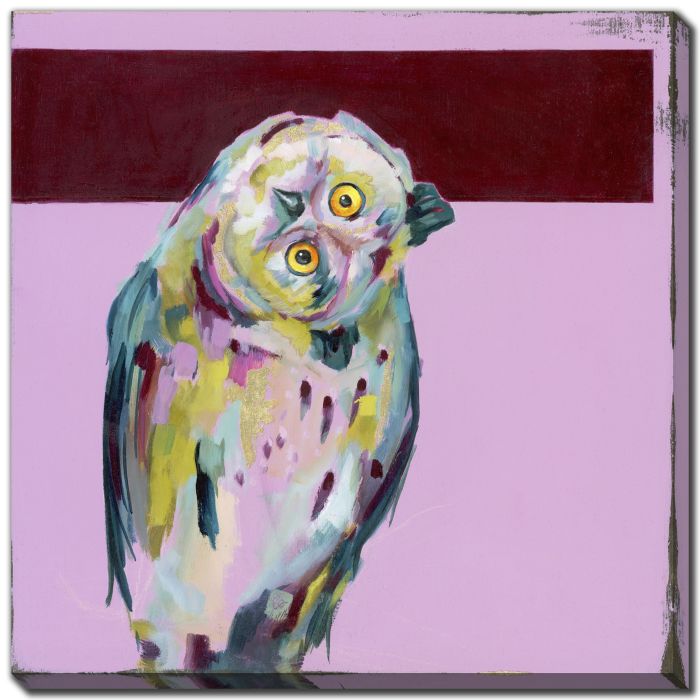 What a Hoot