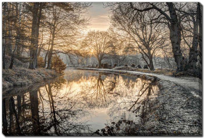 Frosty Morning