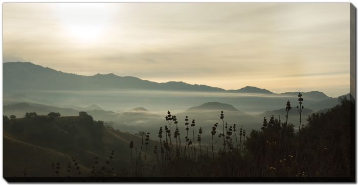 Fog in the Mountains