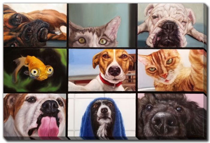 Animal Zoom Lucia Heffernan