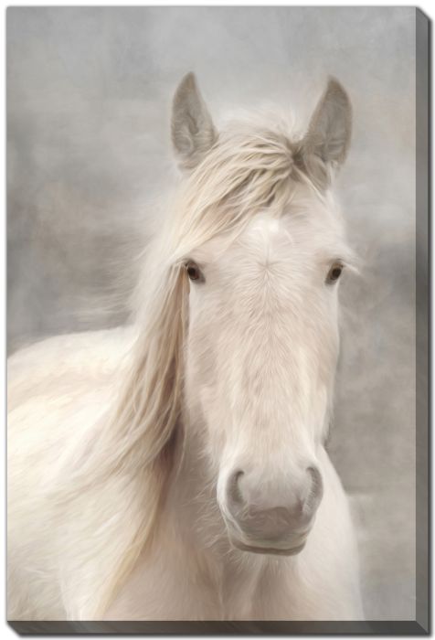 White Beauty I