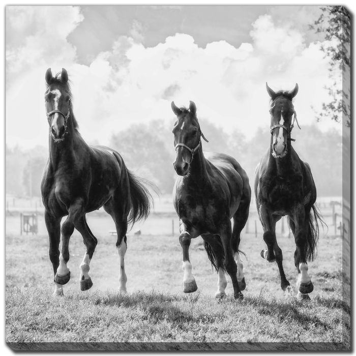 Three of a Kind