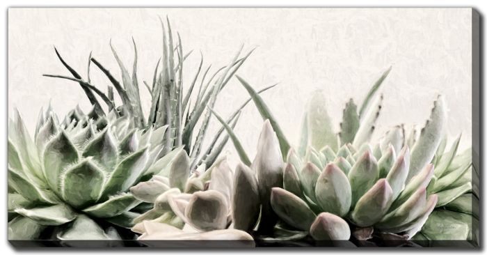 Soft Succulents II