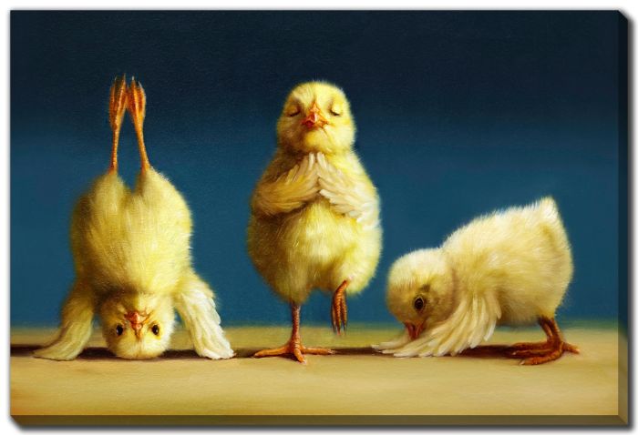 Yoga Chicks