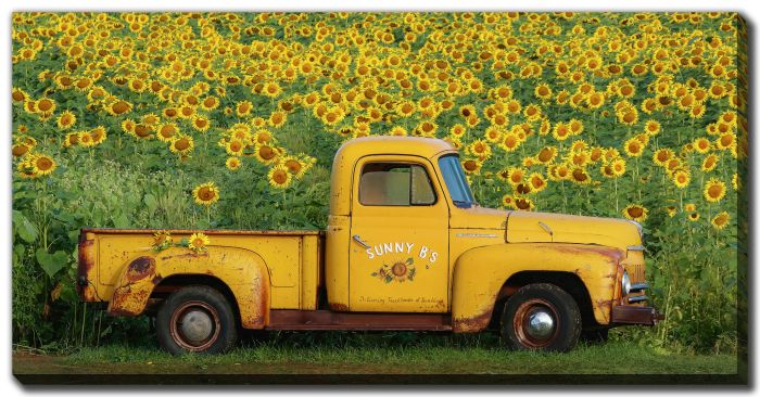 Yellow Vintage Sunflower Truck