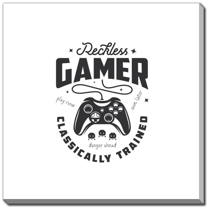 Reckless Gamer