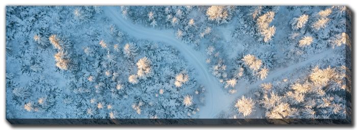Ski Trails