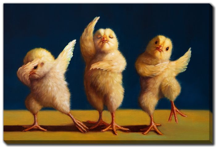 Dancer Chicks