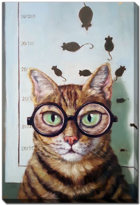 Feline Eye Exam