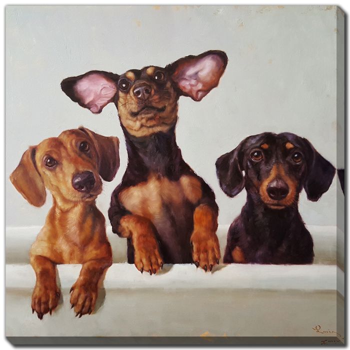 3 Amigos