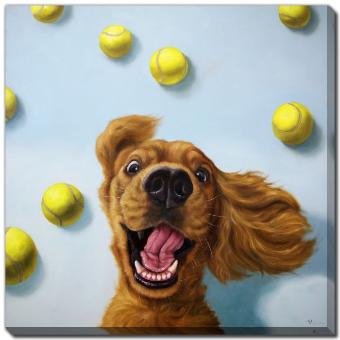 Ball Boy