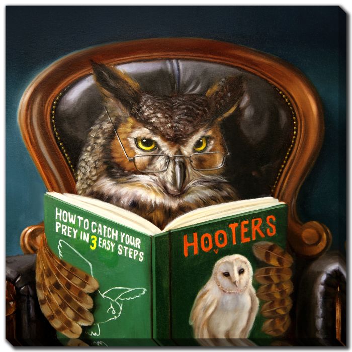 Owl Porn