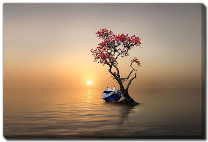 Solitary At Sunset