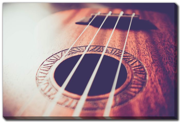 Ukulele Guitar