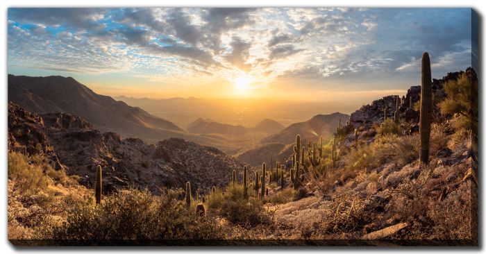McDowell Sonoran Preserve