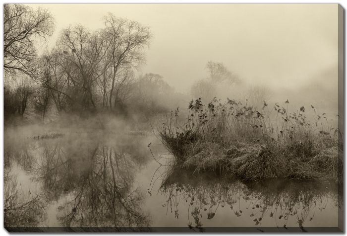 Mist Over the Marshland