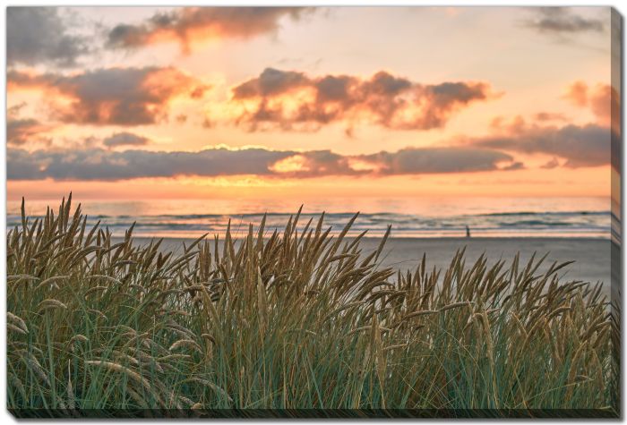 Golden Sunset Over Dune Grass