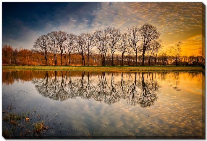 Golden Reflections at Sunset