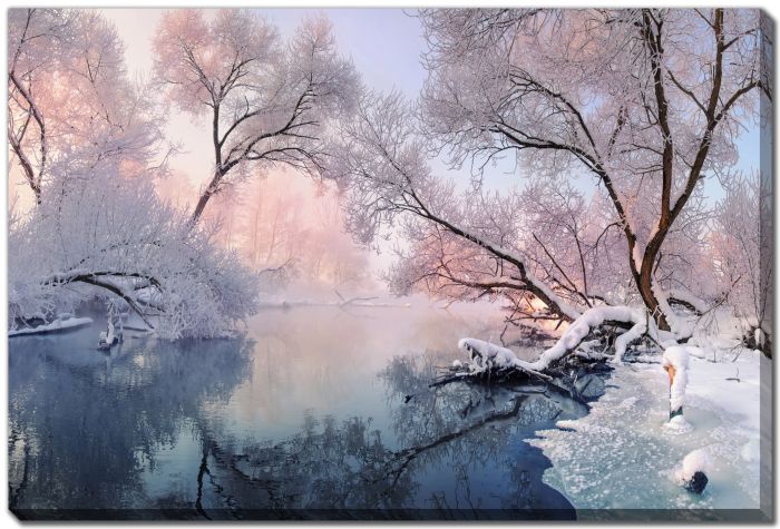Winter Reflections on a Frozen Stream