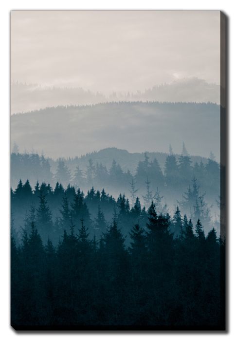 Blue Mountains II