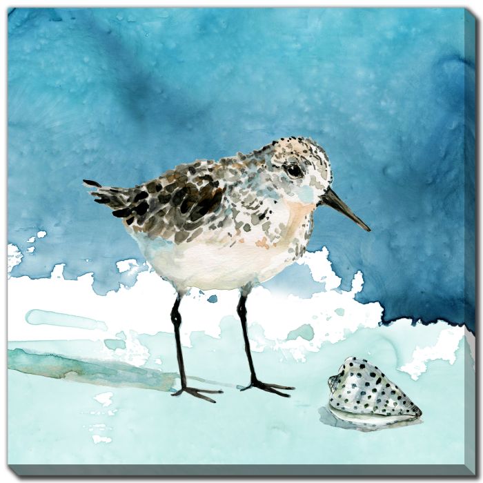 Shore Birds 1