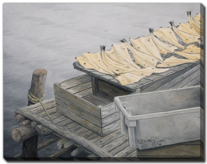 Drying Cod