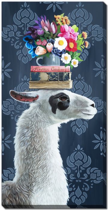 Drama Llama