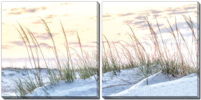 Sea Oats I