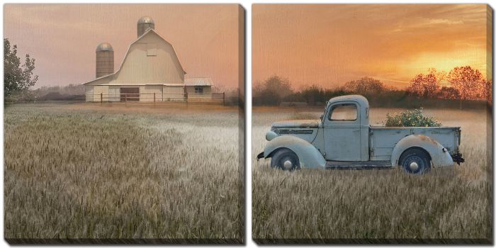 Evening Farm