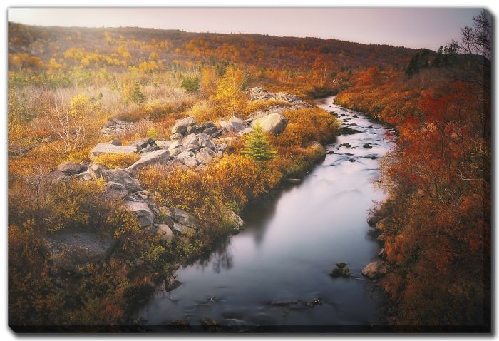 Colourful Valley Silky River