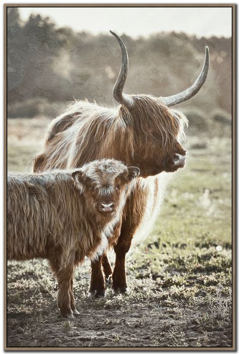 Highland Titans