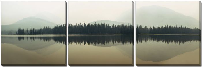 Reflecting Treeline