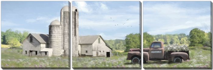 Annville Summer Fields