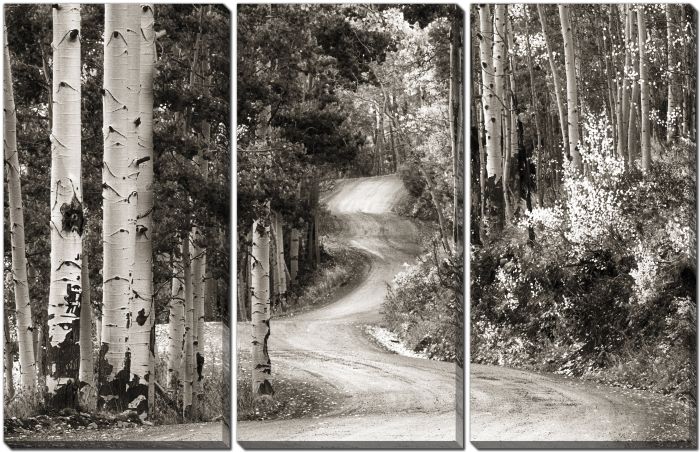 Aspen Grove