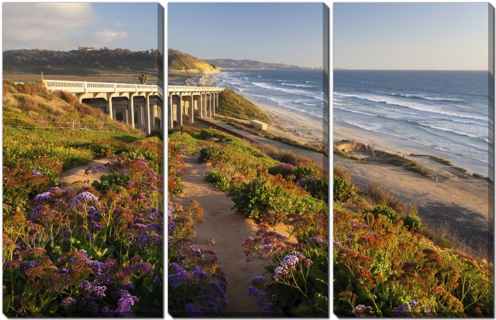 Torrey Pines State Beach