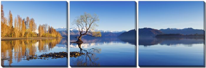 Lake Wanaka